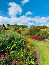 Auckland Botanic Gardens: A Scenic Escape