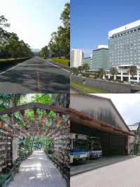 宮崎：藏在九州的寶藏旅行地