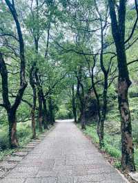 武夷山四天遊 玩轉經典路線必收藏