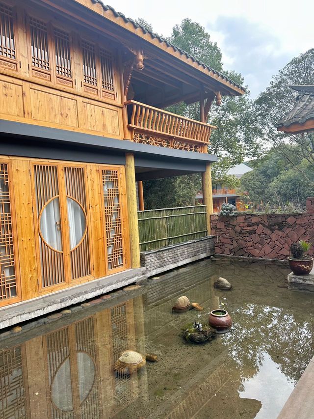 雅安周邊|秋冬遇見最美嘅茶園風景 雅安周邊|秋冬遇見最美嘅茶園風景