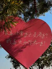 ——珠海市景山公園與索道：奇妙之旅