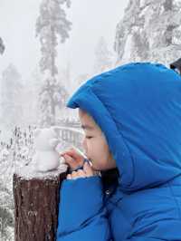 瓦屋山不止有雪