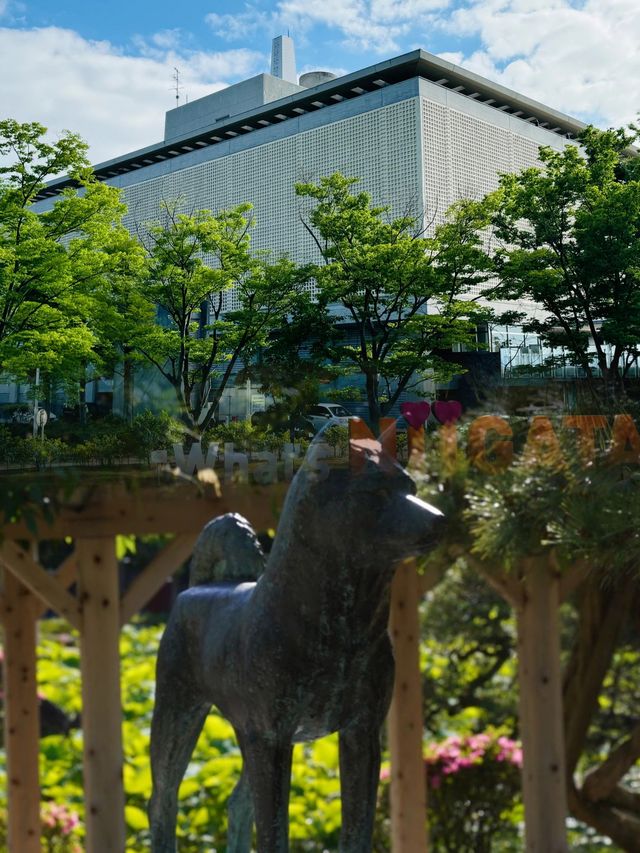 被日本本地人私藏嘅新潟小眾寶藏旅行地