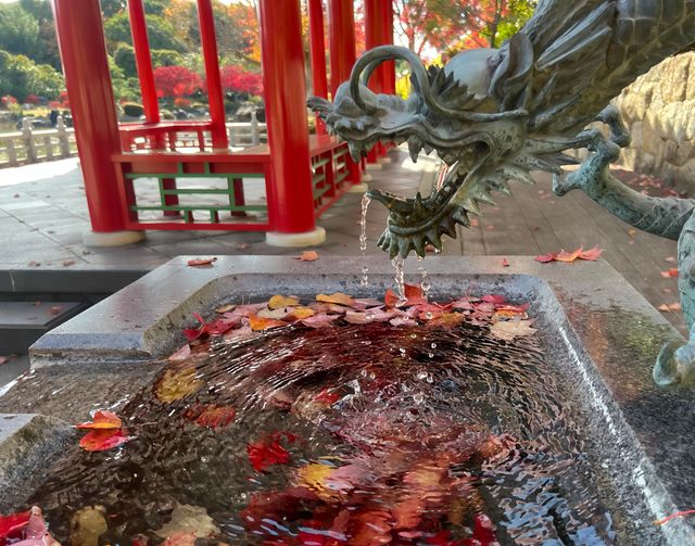 日本堺市大仙公園｜隱藏在城市中的趣味遊玩寶藏地