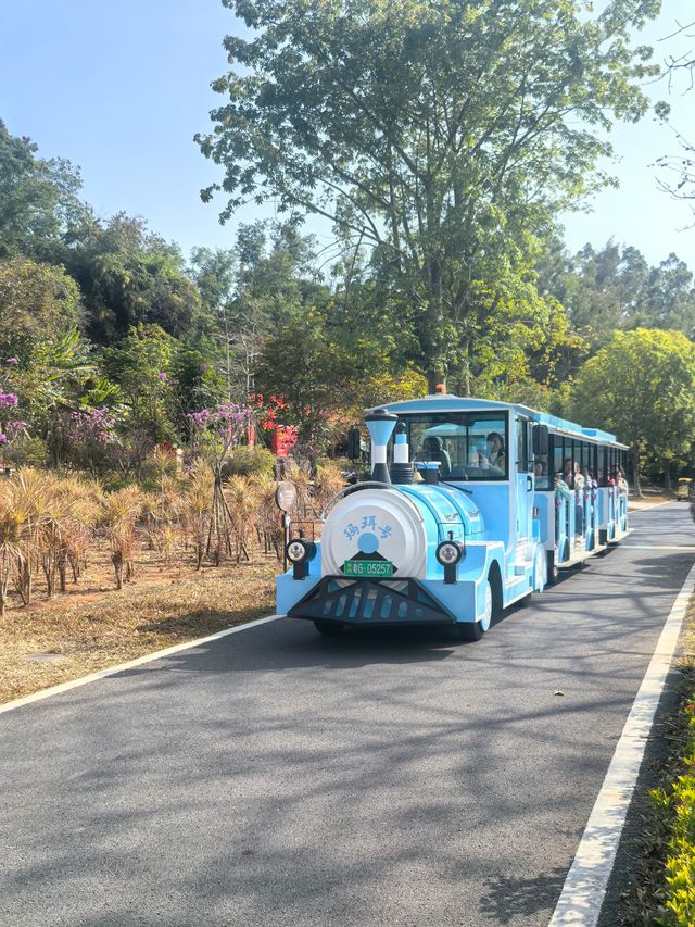 世界地質公園：湖光岩