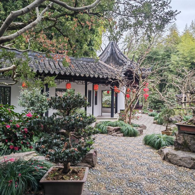 冬天的曲水園 冬天的曲水園