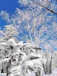 大學生強推！雪谷性價比天花板嘉毅客棧