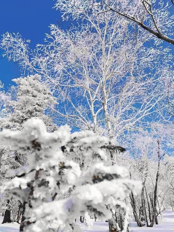 大學生強推！雪谷性價比天花板嘉毅客棧