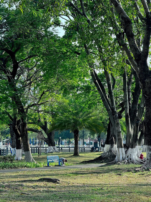 🏞 中山的城市綠洲 - 岐江公園 🏞