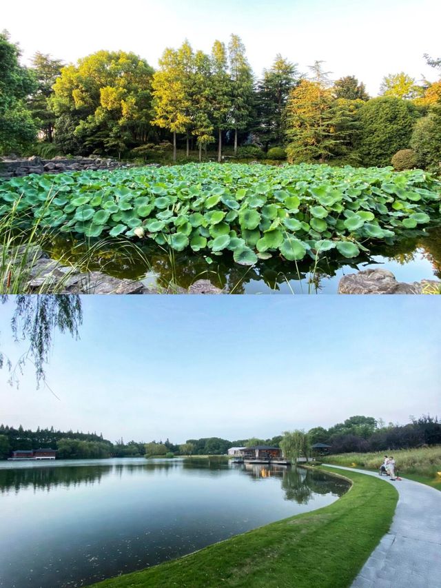 上海東郊賓館攻略 | 藏在都市裏的靜謐桃源