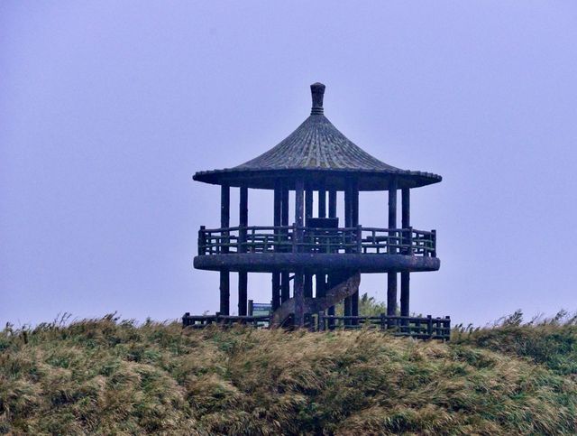 台北陽明山國家公園｜自然野趣與地質奇觀之旅