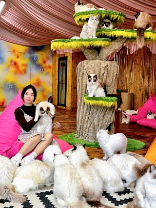 광저우 고양이 천국!! 정말 힐링이에요🩹
