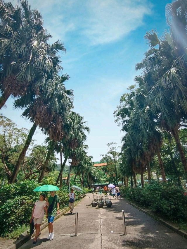 Feel the calmness of PO LIN MONASTERY... 