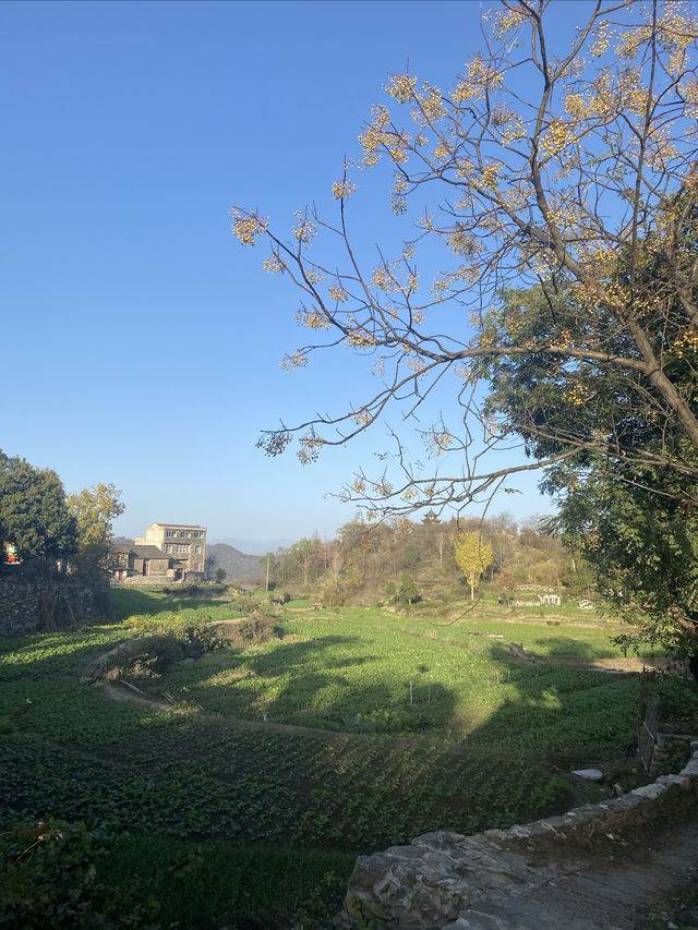 《麻城清遠山莊金福酒店旅遊體驗》