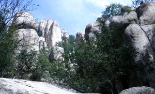 Travel Guide to Yuntai Mountain Scenic Area