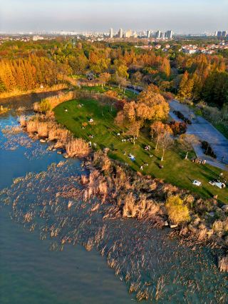 陽澄湖畔驚現小眾寶藏地！露營賞日落！解鎖自然野趣