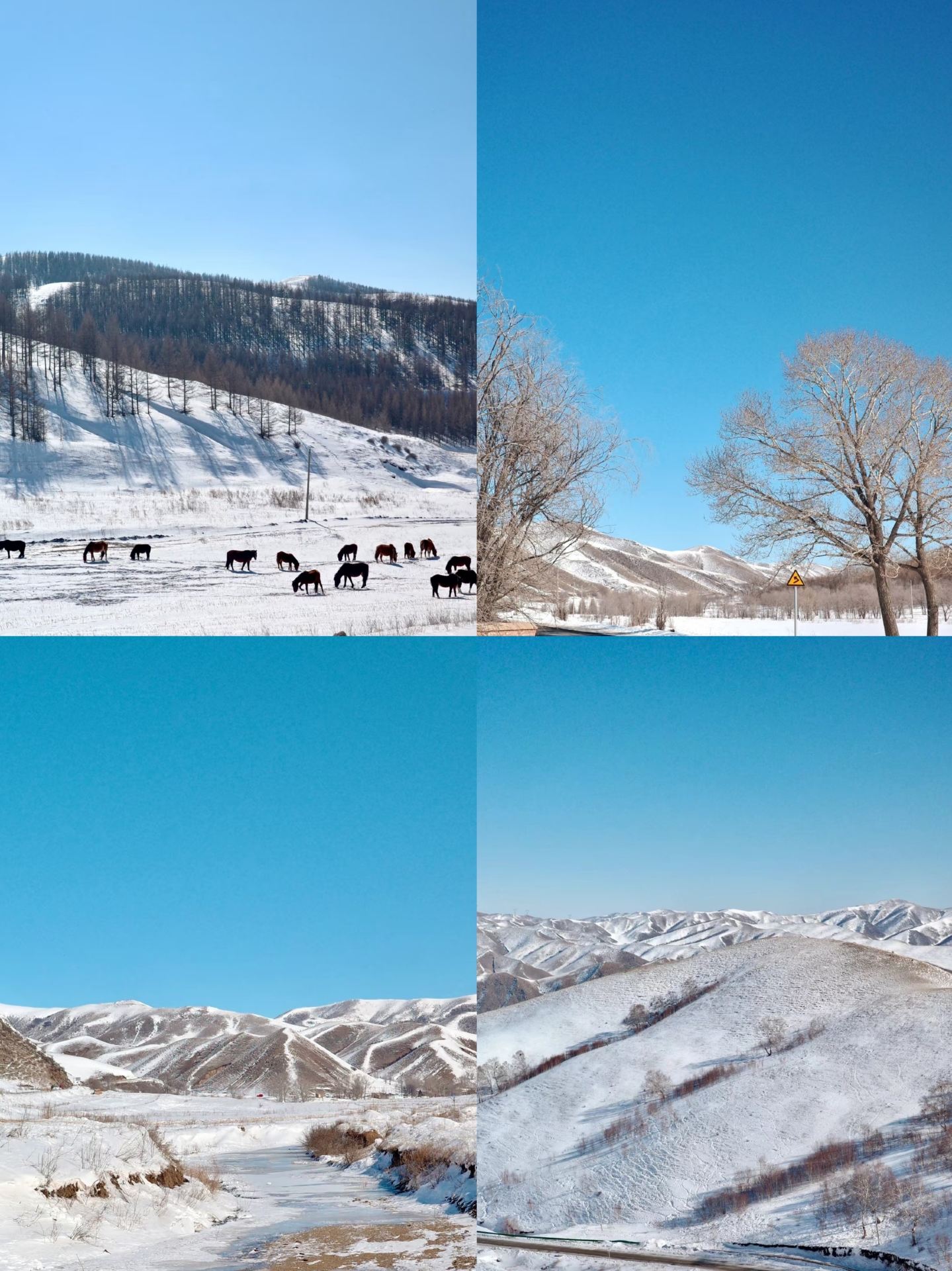 후허하오터 2일 투어 | 직접 수령하는 것을 권장합니다!