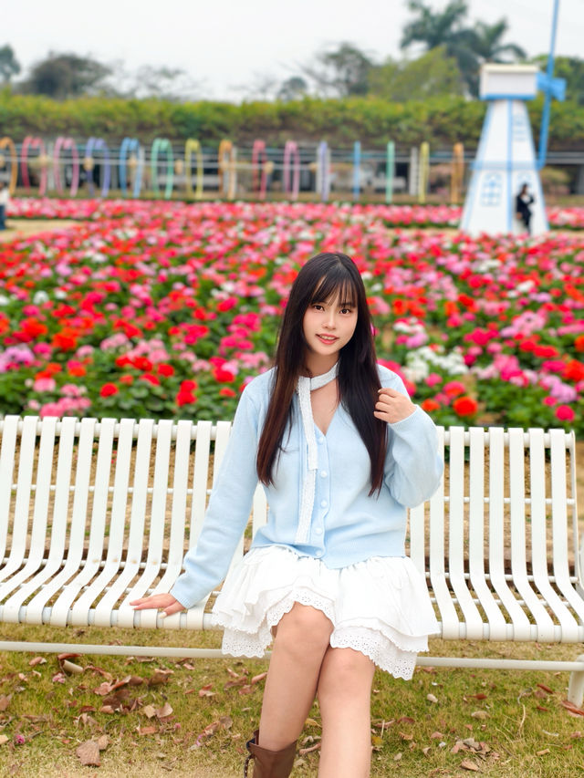邂逅櫻花盛景，暢玩盈香心動樂園，老中小都愛