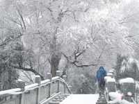 春雪銀裝素裹，宛如畫卷。