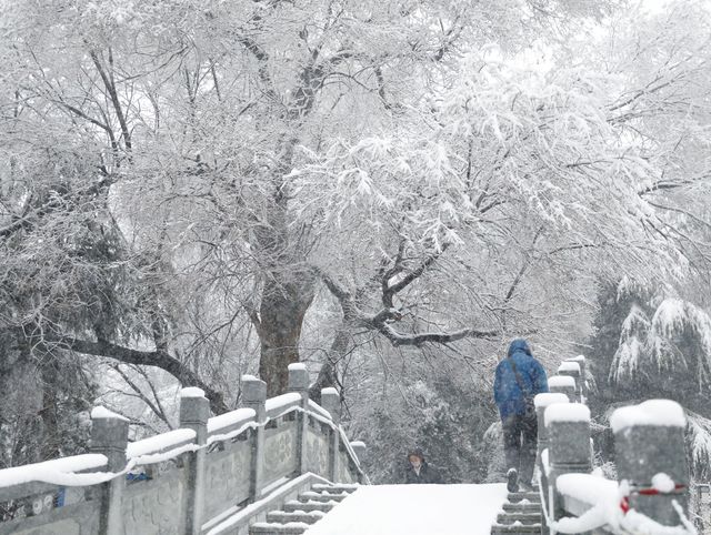 春雪銀裝素裹，宛如畫卷。