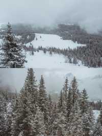 瑞士少女峰登歐洲之巔｜坐著小火車，吸著氧也要看雪山！