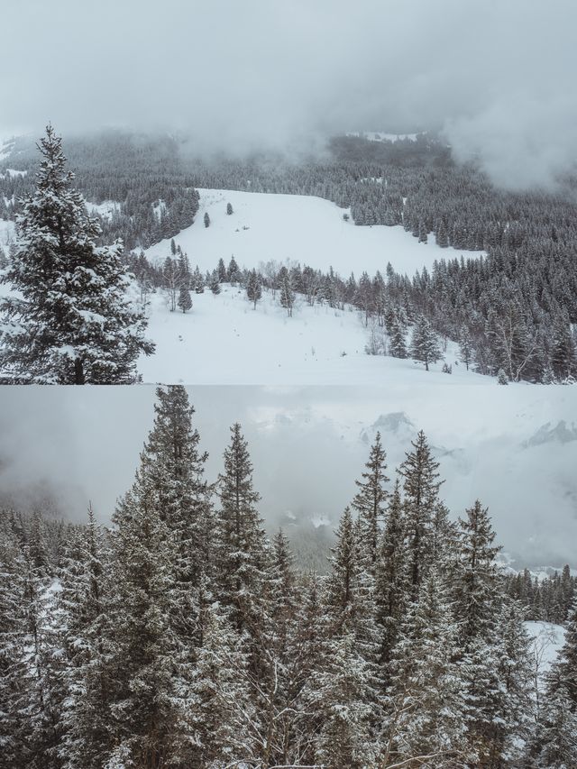 瑞士少女峰登歐洲之巔｜坐著小火車，吸著氧也要看雪山！