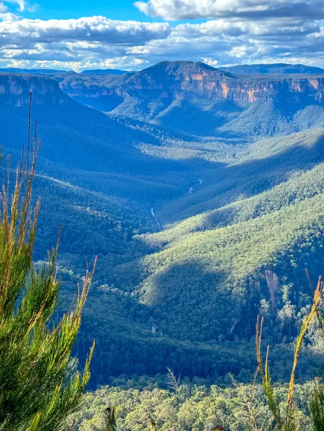 호주 11일 가족 여행 완벽 가이드