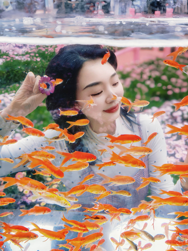 重慶王家衛同款魚缸！！太出片啦！