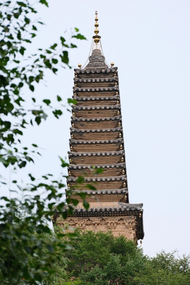 走進這片神奇的土地