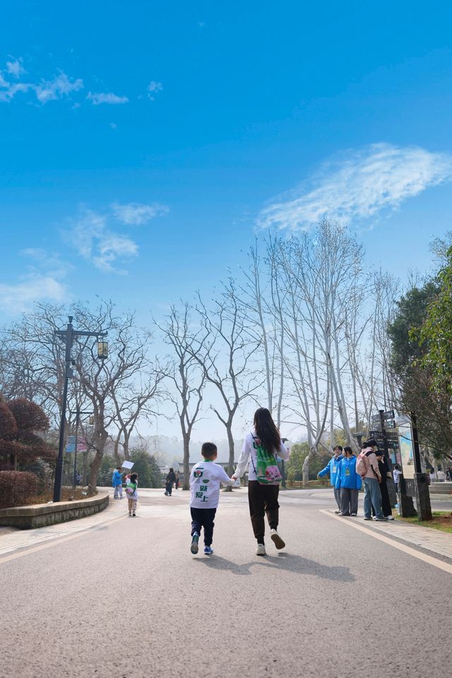 在武漢帶娃解鎖人生第一場親子跑 