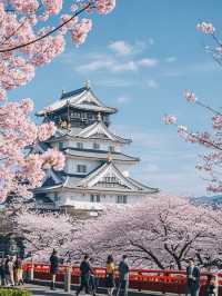 赴廣島之約，共賞四日櫻花爛漫