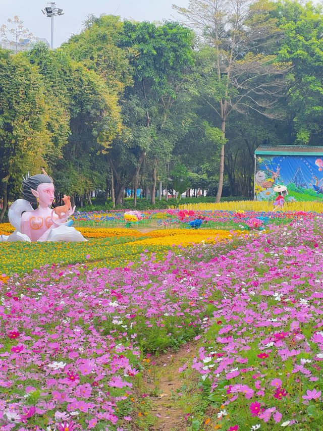 深圳周邊小眾花海，真的超好拍