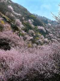 藍天三鳳山 | 西安周邊的世外桃源