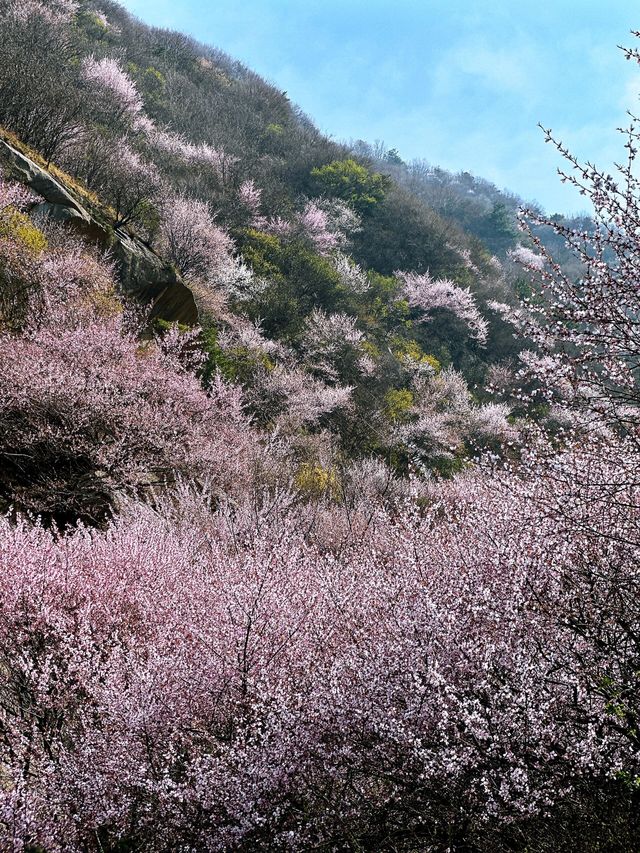 藍天三鳳山 | 西安周邊的世外桃源
