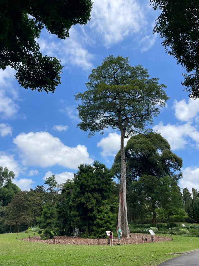 新加坡小眾旅遊攻略