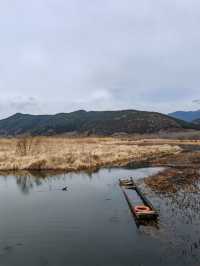 四月涼山旅遊攻略：邂逅紫色浪漫與山水秘境