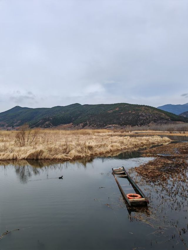 四月涼山旅遊攻略：邂逅紫色浪漫與山水秘境