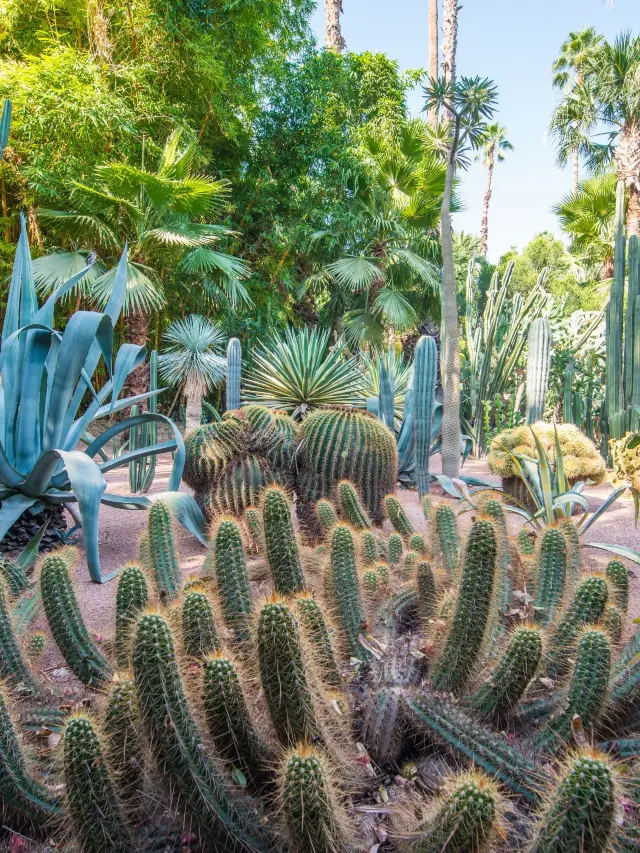 10-Day Morocco Tour for Seniors: A Relaxing and Comprehensive Guide