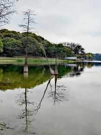被松山湖洗版了