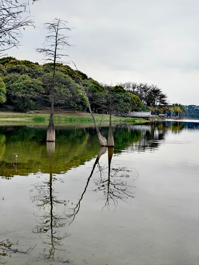 被松山湖洗版了