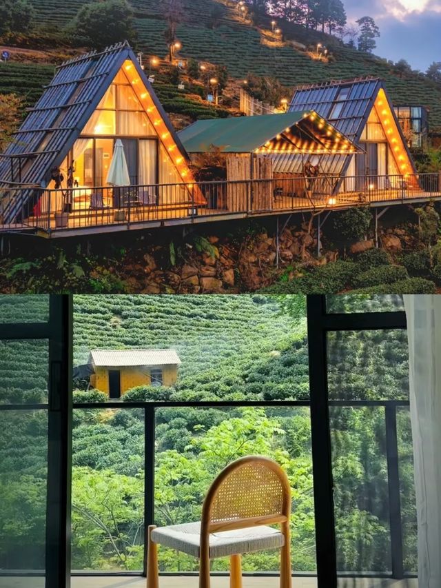 清遠!!茶園秘境民宿太適合 staycation