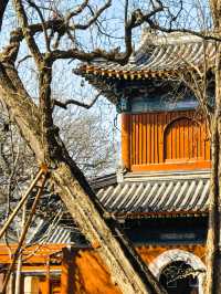 擁有 400 多年歷史的皇家古寺、祈求健康長壽最靈驗的寺廟
