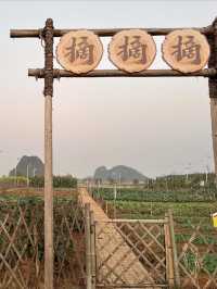 南寧周邊遛娃寶藏地，山水牧歌觀光牧場一日遊攻略