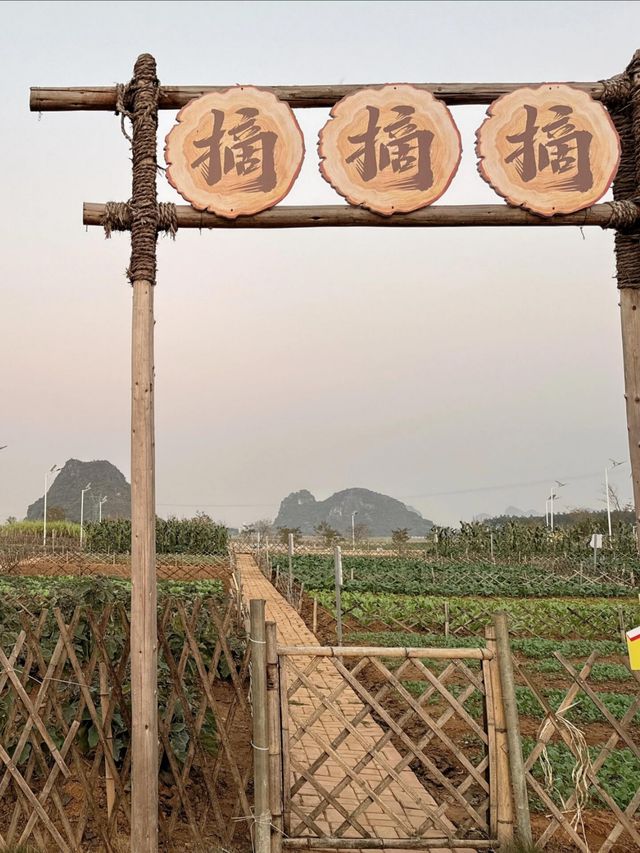 南寧周邊遛娃寶藏地，山水牧歌觀光牧場一日遊攻略