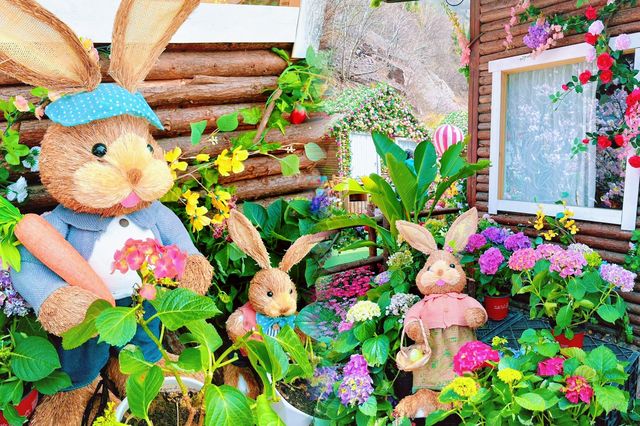 驚喜解鎖寶泉秘境 鬱金香花海浪漫來襲