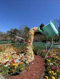 在北京商業中心區旁邊，隱藏着全北京「最陽」的地方——日壇公園