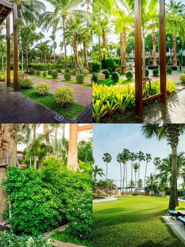 芭堤雅中天海灘棕櫚度假村 | 靠近海的寧靜度假天堂 酒店：中天海灘棕櫚度假村 