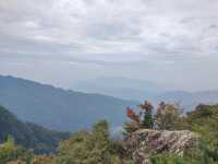 藍田王順山森林公園|秦嶺“小黃山”