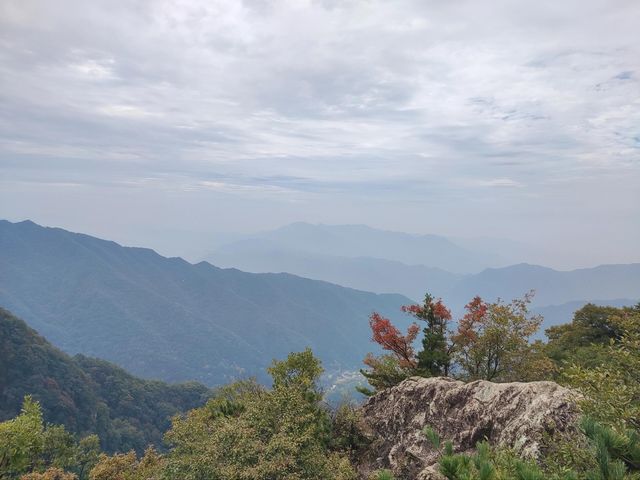 藍田王順山森林公園|秦嶺“小黃山”