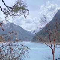 Enchanting Waters: The Magic of the Blue Lake in the Forest